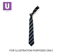 Load image into Gallery viewer, Navy &amp; White Double Stripe Tie (Box of 24)