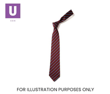 Load image into Gallery viewer, Maroon &amp; Saxe Thin Stripe Tie (Box of 24)
