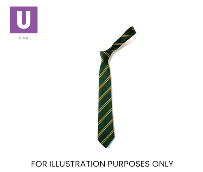 Green & Gold Double Stripe Tie (Box of 24)