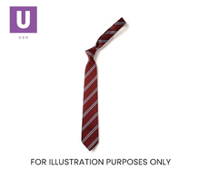 Load image into Gallery viewer, Maroon &amp; Sky Double Stripe Tie (Box of 24)