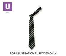 Load image into Gallery viewer, Black &amp; White Thin Stripe Tie (Box of 24)