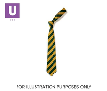 Load image into Gallery viewer, Green &amp; Gold Broad Stripe Tie (Box of 24)