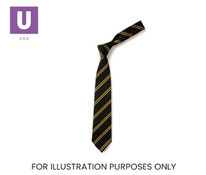 Black & Gold Double Stripe Tie (Box of 24)
