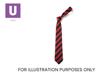 Load image into Gallery viewer, Navy &amp; Red Broad Stripe Tie (Box of 24)