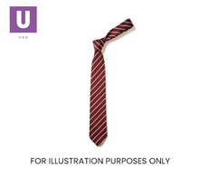 Load image into Gallery viewer, Maroon &amp; White Thin Stripe Tie (Box of 24)