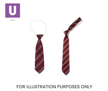 Load image into Gallery viewer, Maroon &amp; Sky Double Stripe Tie (Box of 24)