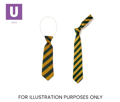 Green & Gold Broad Stripe Tie (Box of 24)