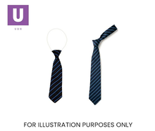 Load image into Gallery viewer, Navy &amp; Saxe Thin Stripe Tie (Box of 24)