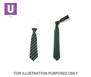 Green & White Thin Stripe Tie (Box of 24)