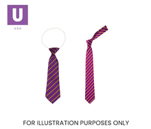 Cargar imagen en el visor de la galería, Purple &amp; Gold Thin Stripe Tie (Box of 24)