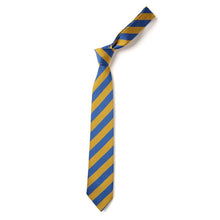 Load image into Gallery viewer, Royal &amp; Gold Broad Stripe 39&quot; Eco Tie