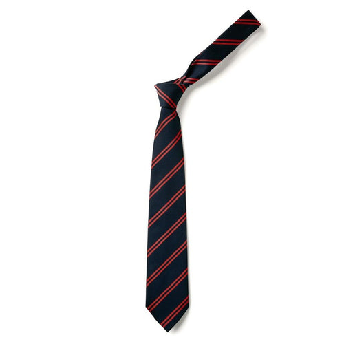 Navy & Red Double Stripe Eco Tie
