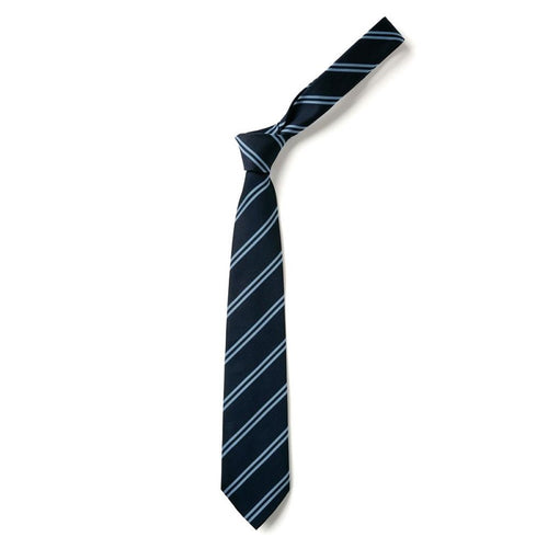 Navy & Light Blue Double Stripe Eco Tie
