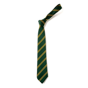Green & Gold Double Stripe Eco Tie