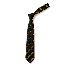 Load image into Gallery viewer, Black &amp; Gold Double Stripe Eco Tie