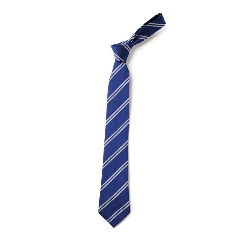 Royal & White Double Stripe Eco Tie