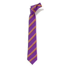 Load image into Gallery viewer, Purple &amp; Gold Double Stripe Eco Tie