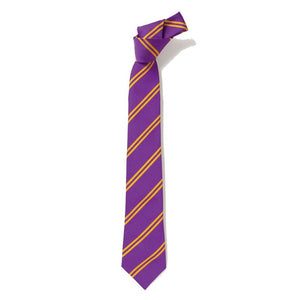 Purple & Gold Double Stripe Eco Tie