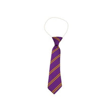 Load image into Gallery viewer, Purple &amp; Gold Double Stripe Eco Tie