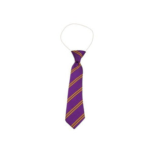 Purple & Gold Double Stripe Eco Tie